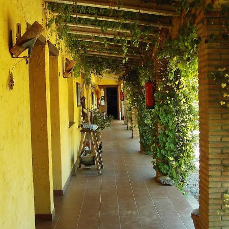 Hotel Rural La Cimbarra Aldeaquemada Extérieur photo